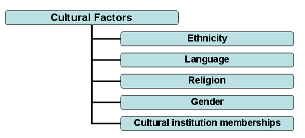 Different types of cultural factors
