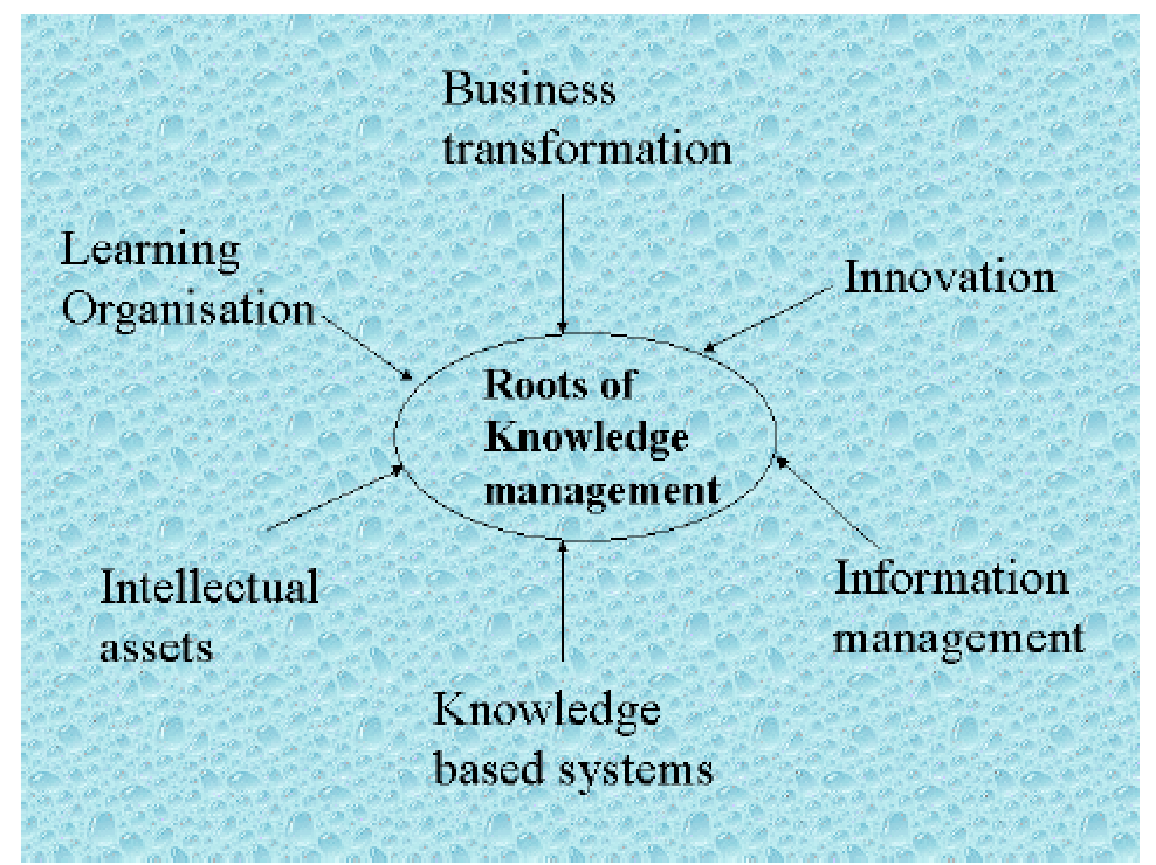 Roots of Knowledge management