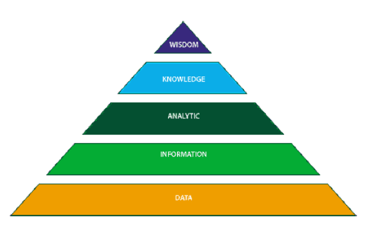 Components of KM