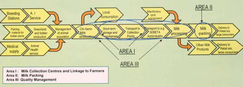 Value Chain - Milk and Milk Products 