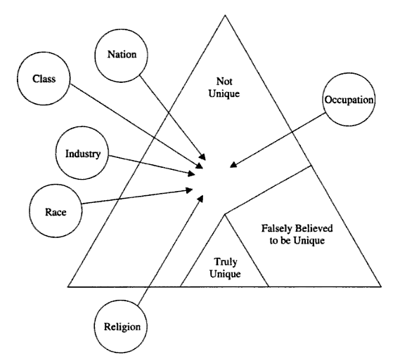 The Nexus approach to cultures in organizations