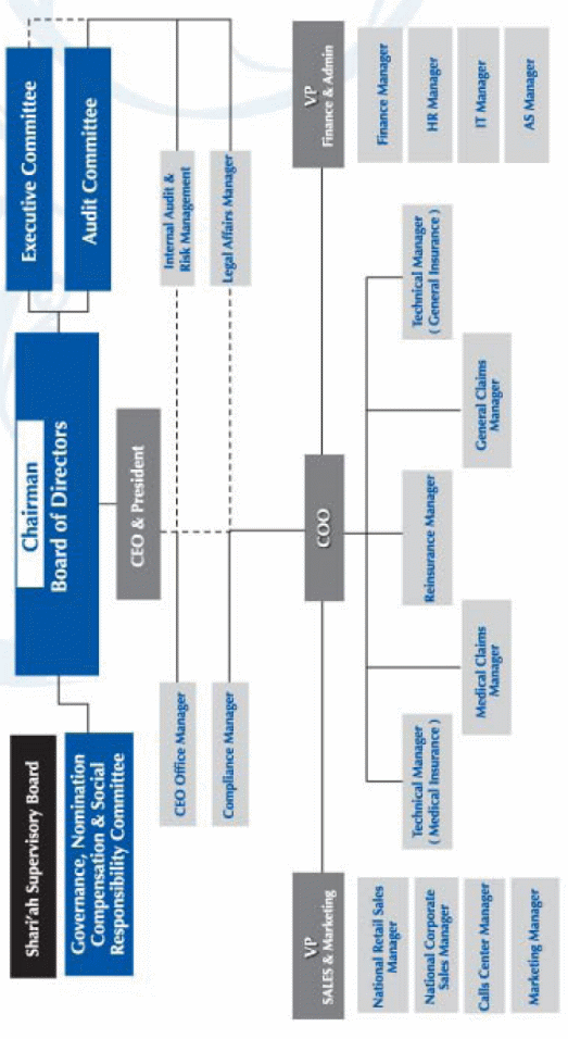 Organizational structure of ACIG.