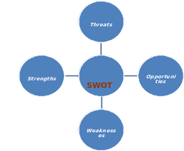  SWOT analysis