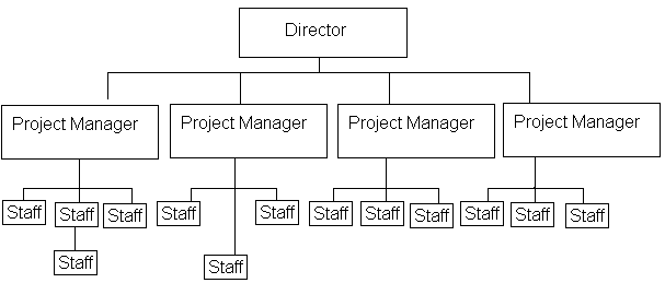 Project-based organisational structure