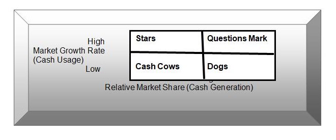  Boston Consulting Group (BCG) Matrix