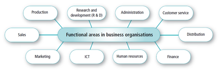 Main Functional Areas 