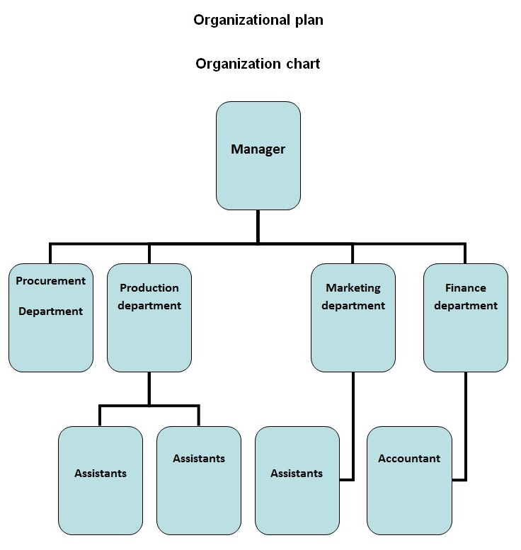 Invent Electronics: Business Plan Essay Example [Free]