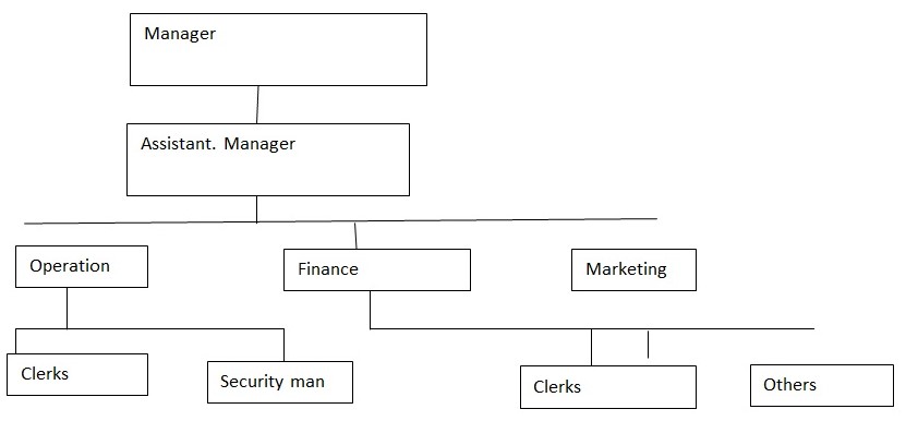 Management plan