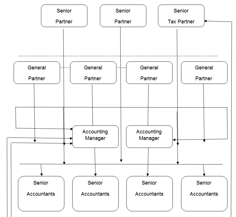 Organizational Chart and Hierarchy