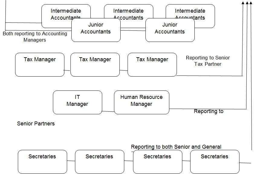 Organizational Chart and Hierarchy