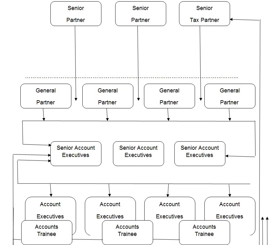 Redesigned Organizational Chart and hierarchy allocation