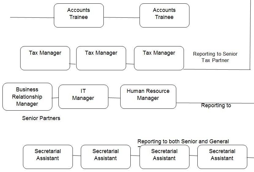 Redesigned Organizational Chart and hierarchy allocation