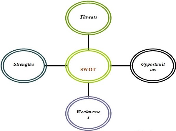  SWOT analysis 