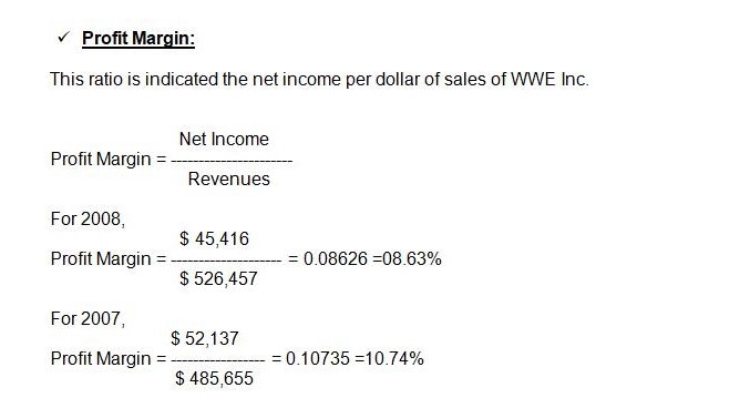 Profit Margin 