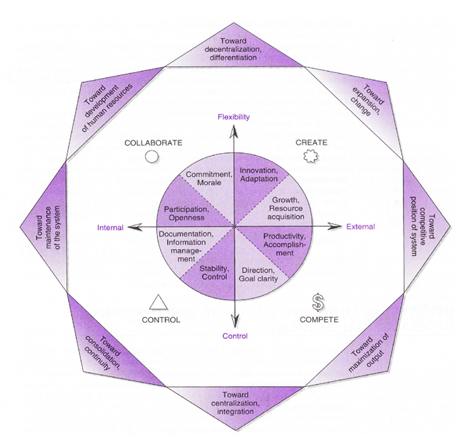 Competing Values Framework.