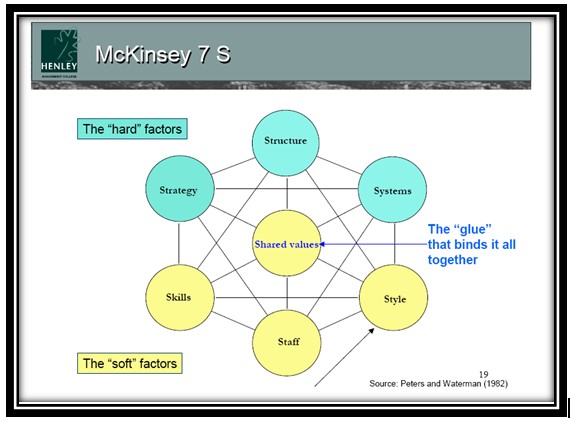 McKinsey 7S Analysis