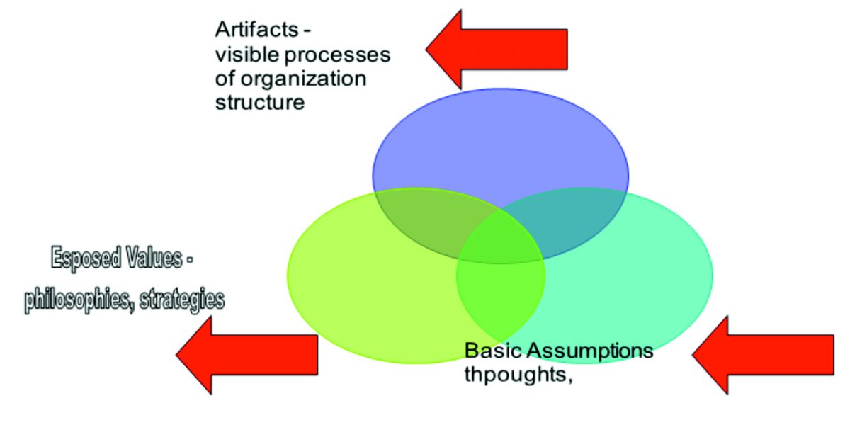 organization’s internal structure