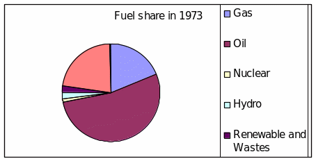 Pie Charts indicating the proportion of Energy Supply in 1973.