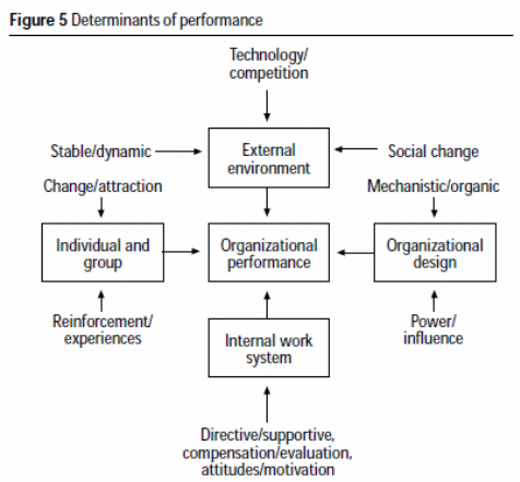 Number of factors that determines the performance of an organization