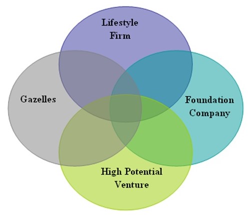 Types of Start-Ups Source: Self Generated