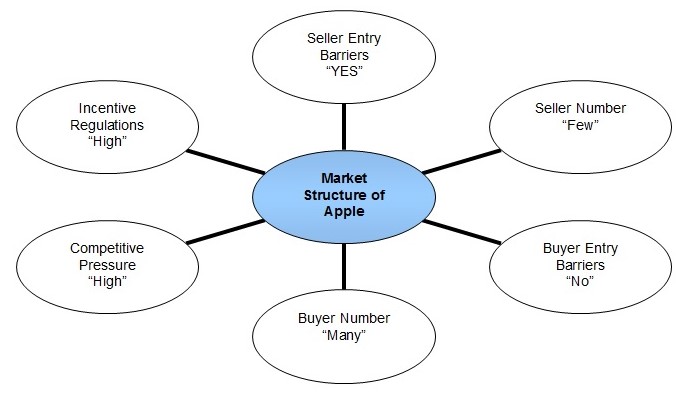 Market Structure of Apple