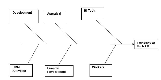 Fish Bone Diagram