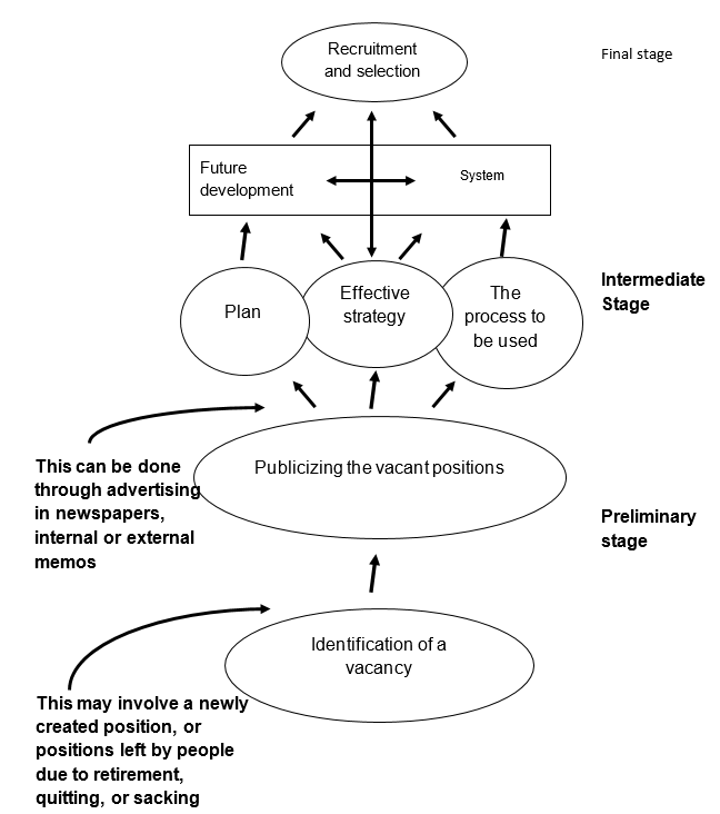 Conceptual Framework