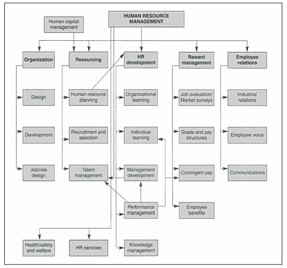 Activities of human resource management