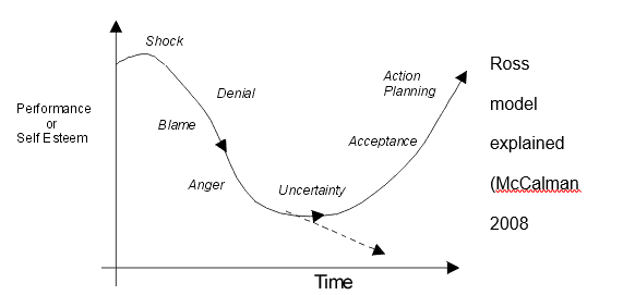 Change and stress - the principle of adaptation