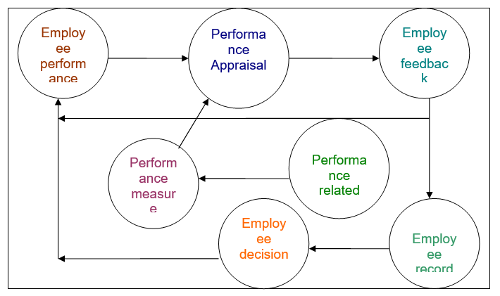 Performance appraisal process.