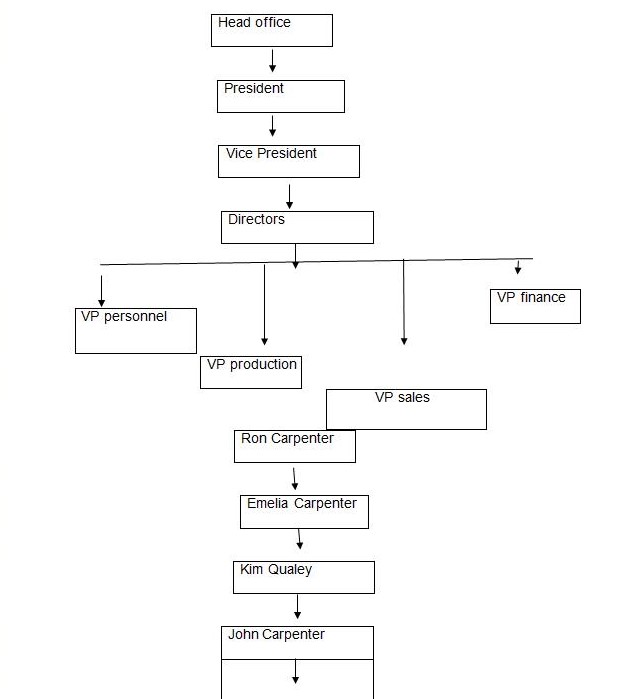 The organizations structure