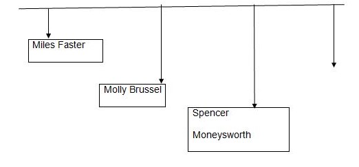 The organizations structure