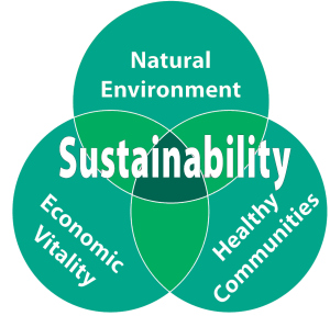 Sustainability Pillars as Interdependent Entities