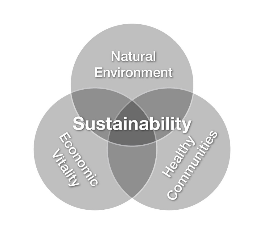  Sustainability Pillars as Interdependent Entities