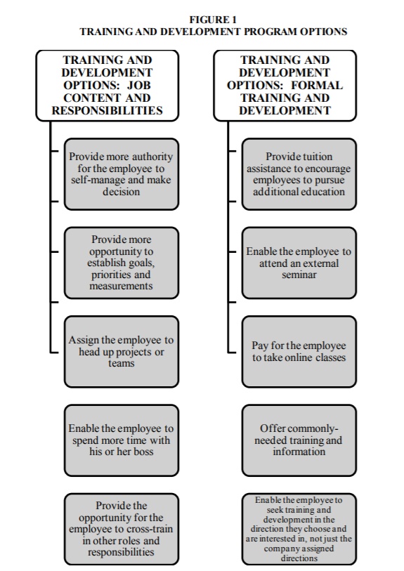  Additional options for a healthy training and development program (Cloutier, O., Felusiak, L., Hill, C., & Pemberton-Jones, E. J., 2015).