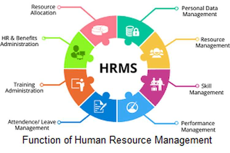 HR’s functions in an organisation