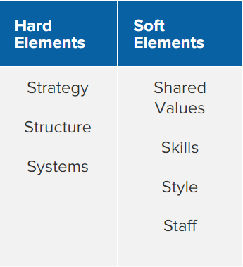 McKinsey model