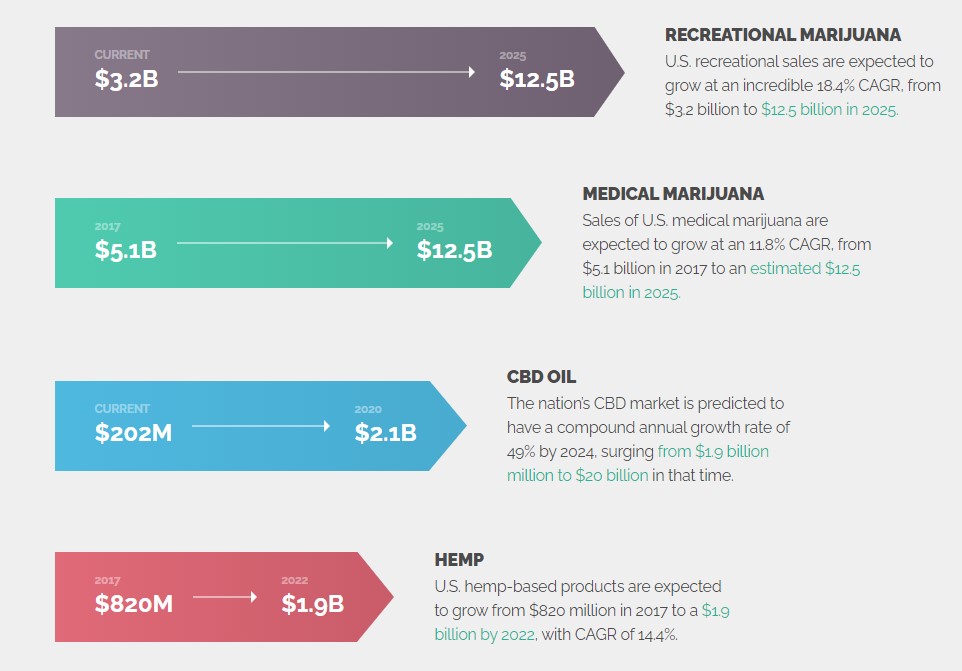 American Cannabis Company: Overview