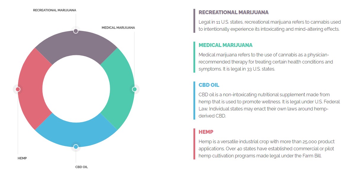 Breakdown of the Cannabis industry by sector