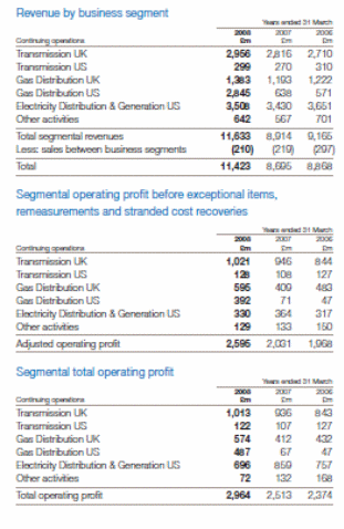 Comparison of each segment by revenues and profits.