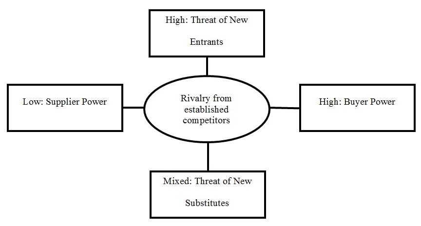 Competitive Analysis and Profitability