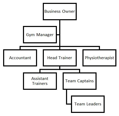 Organizational Structure of Zeus Fitness