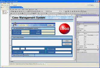 Development of forms in Biz Flow