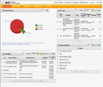 User Interface and Portlets in Biz Flow