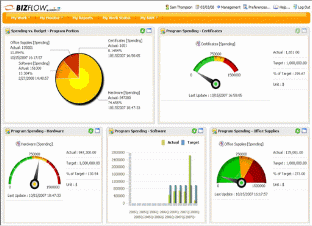 Business Activity Monitoring Capabilities in Biz Flow