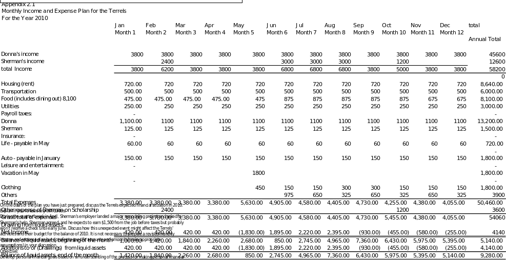 Monthly Income and Expense Plan for the Terrels