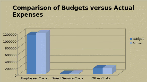 Comparison of Budgets versus Actual Expenses