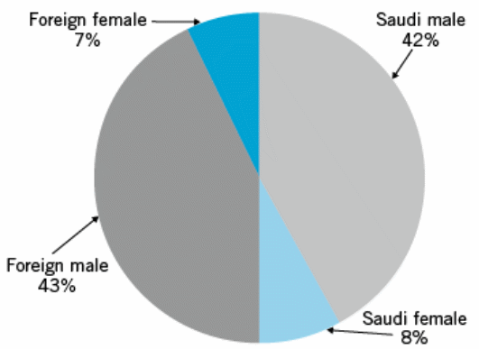 Composition of Human resources 2009. 