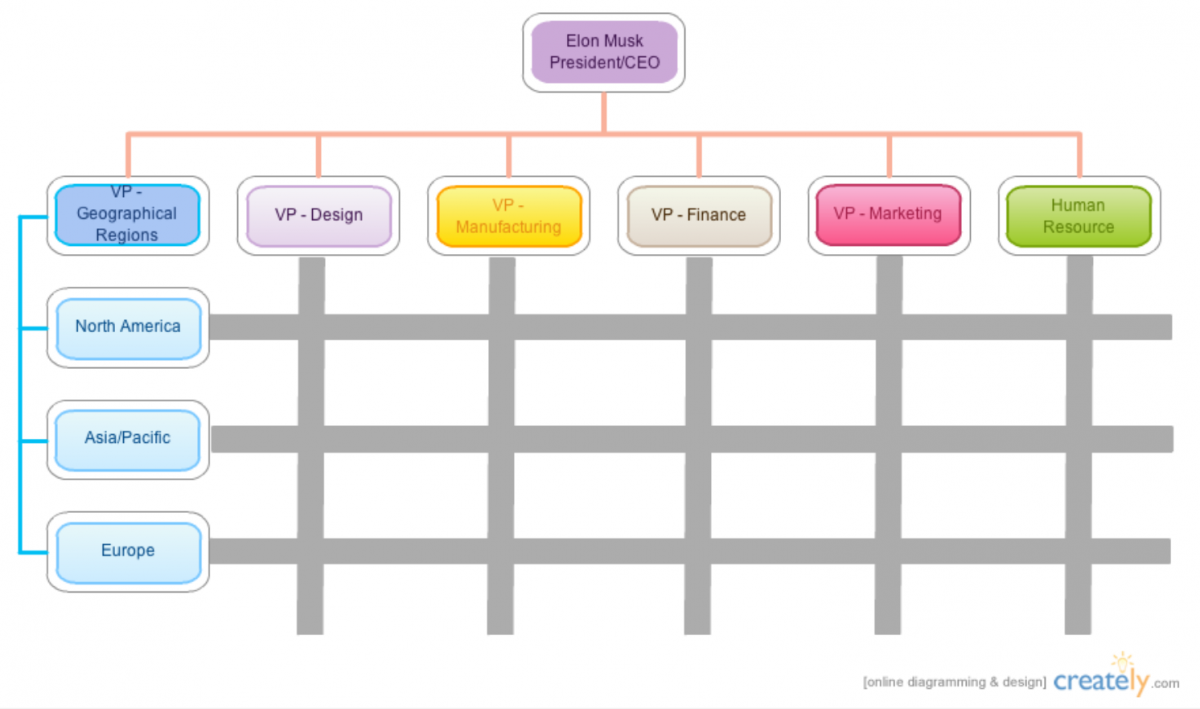 Tesla Inc. organizational chart 