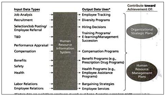 Human Resource Information System.